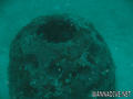 scuba diving photo