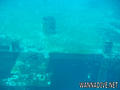 scuba diving photo