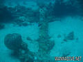 scuba diving photo