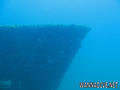 scuba diving photo
