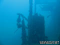 scuba diving photo