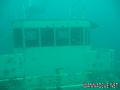 scuba diving photo