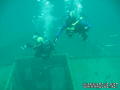 scuba diving photo