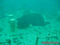 scuba diving photo
