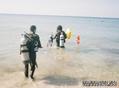 scuba diving photo