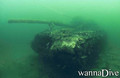 scuba diving photo