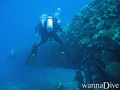 scuba diving photo