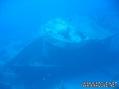 scuba diving photo