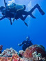 scuba diving photo