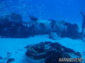 scuba diving photo