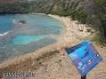 scuba diving photo