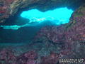 scuba diving photo