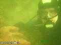 scuba diving photo