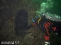 scuba diving photo