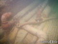scuba diving photo