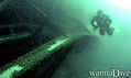 scuba diving photo