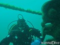 scuba diving photo