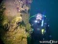 scuba diving photo