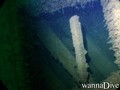 scuba diving photo