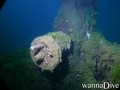 scuba diving photo