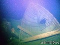 scuba diving photo