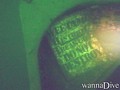 scuba diving photo