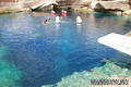 scuba diving photo
