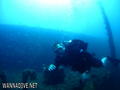 scuba diving photo
