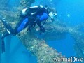 scuba diving photo