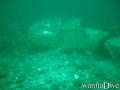 scuba diving photo