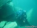 scuba diving photo