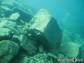 scuba diving photo