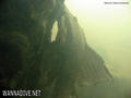 scuba diving photo