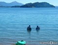 scuba diving photo