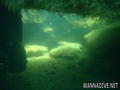 scuba diving photo