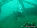 scuba diving photo