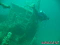scuba diving photo