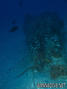 scuba diving photo
