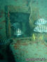 scuba diving photo