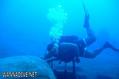 scuba diving photo