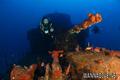 scuba diving photo