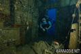scuba diving photo