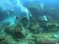 scuba diving photo