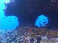 scuba diving photo