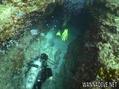 scuba diving photo