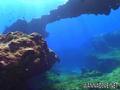 scuba diving photo