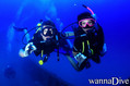 scuba diving photo