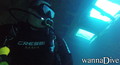 scuba diving photo