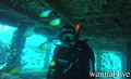 scuba diving photo