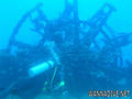 scuba diving photo